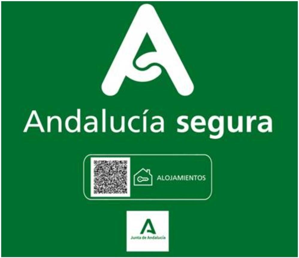 Todosierranevada Zona Baja - Edificio Alhambra - Junto A Los Telecabinas Sierra Nevada Eksteriør billede