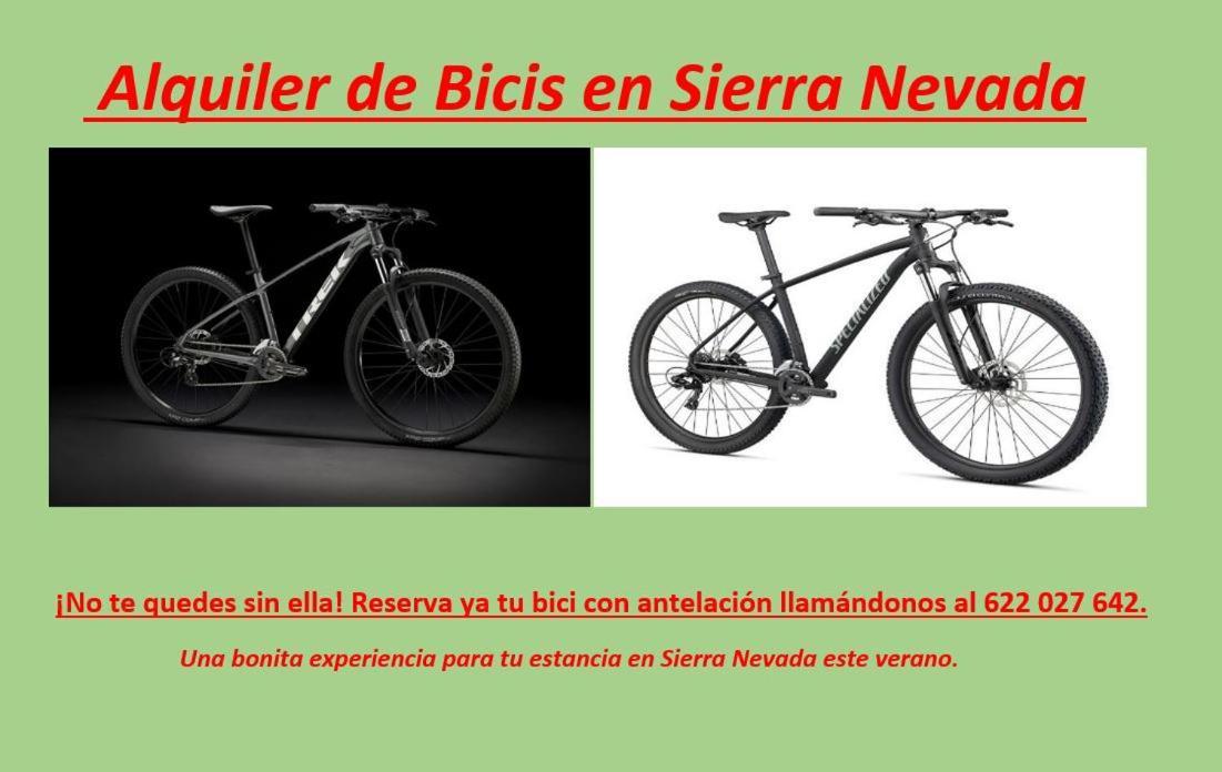Todosierranevada Zona Baja - Edificio Alhambra - Junto A Los Telecabinas Sierra Nevada Eksteriør billede